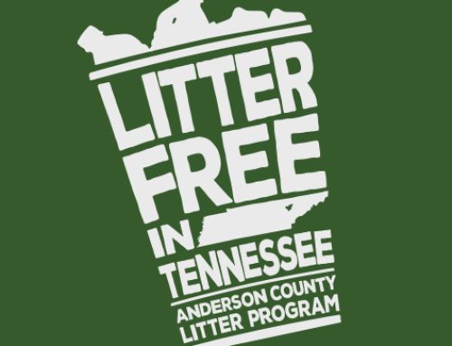 Mayor Frank Releases Snapshot on Litter Cleanup in Anderson County